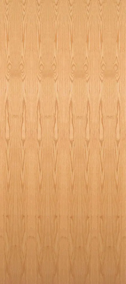 DOOR-Flush