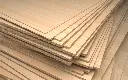 PLYWOOD(UG)