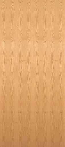 DOOR-Flush