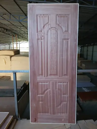 DOOR-Panel/Ordinary